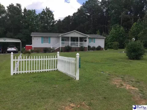 304 Woodland Hills Rd, Ruby, SC 29741 photo 1