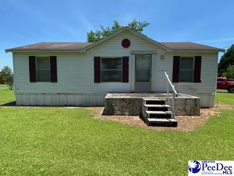 893 Rivers Rd, Lamar, SC 29069 photo 1