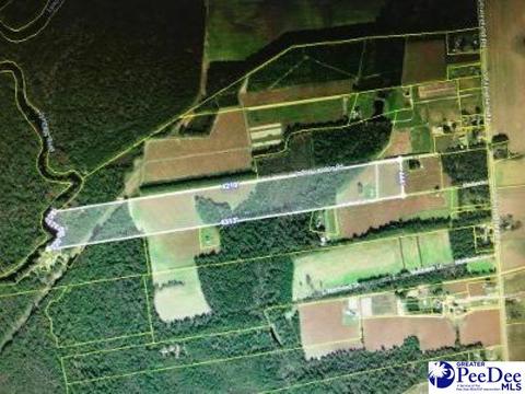 2402 Indigo Landing Rd, Scranton, SC 29591 photo 1