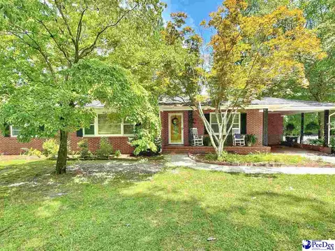 613 E 3rd Ave, Lake View, SC 29563 photo 1
