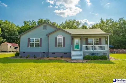 237 Hailey Rd, Cheraw, SC 29520 photo 1
