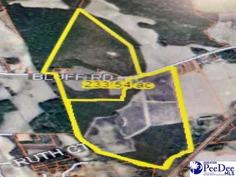 4806 Bluff Rd, Mullins, SC 29574 photo 1