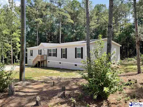 385 Single Tree Ln, Cheraw, SC 29520 photo 1
