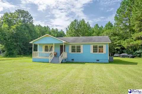 2824 Mcdaniel Rd, Effingham, SC 29541 photo 1