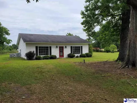 735 E Hampton St, Olanta, SC 29114 photo 1