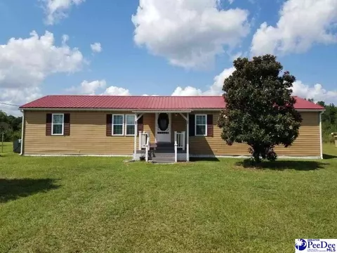 1439 Romance Dr, Darlington, SC 29540 photo 1