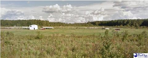 9890 S Highway 41, Gresham, SC 29546 photo 1