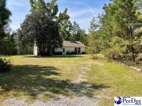 3945 Sam Jones Rd, Patrick, SC 29584 photo 1