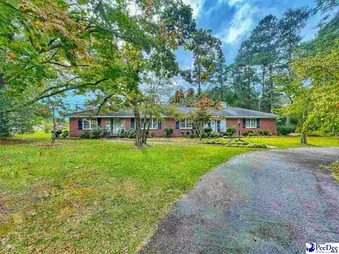 614 E 3rd Ave, Lake View, SC 29563 photo 1