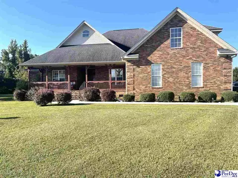 3613 Marblehead Ct, Effingham, SC 29541 photo 1