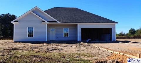 4824 W Paces Trl, Darlington, SC 29532 photo 1