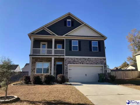 3029 Red Hawk Rd, Effingham, SC 29541 photo 1