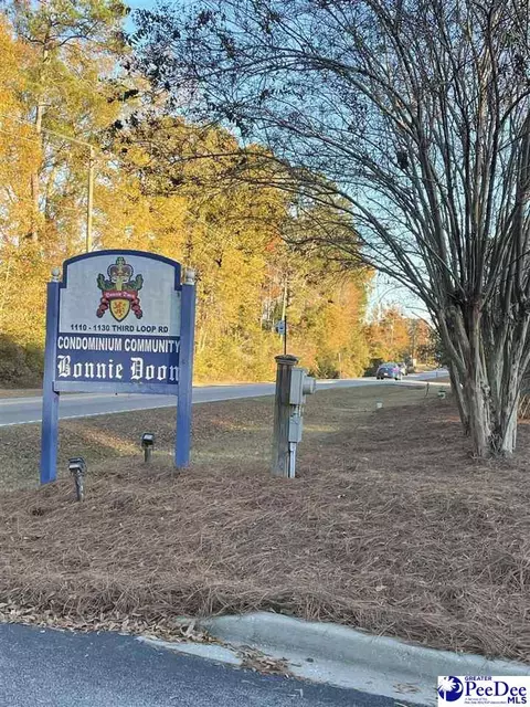 1126 Third Loop Rd # -b, Florence, SC 29505 photo 1