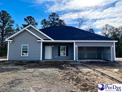 2141 E Paces Trl, Darlington, SC 29532 photo 1