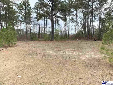 2118 Tenners Ln, Dillon, SC 29536 photo 1