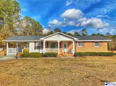 534 Vandyke Rd, Dillon, SC 29536 photo 1