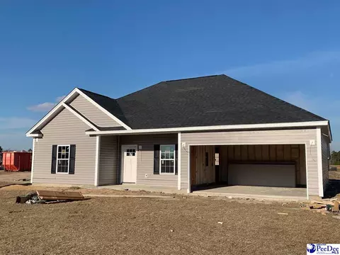 4825 W Paces Trl, Darlington, SC 29532 photo 1