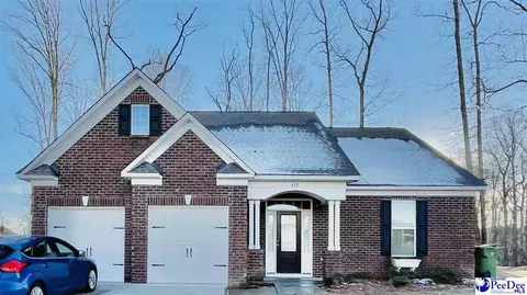 412 Brushbrook Dr, Effingham, SC 29541 photo 1