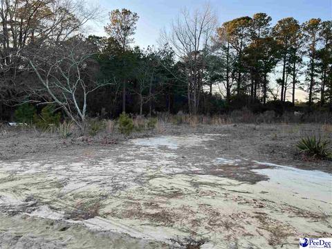 1438 Riverview Loop, Dillon, SC 29536 photo 1