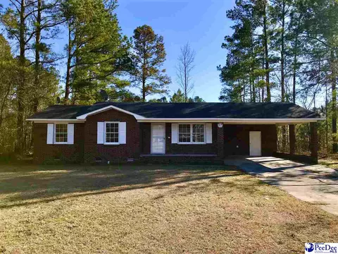 1022 E Macree Ter, Florence, SC 29505 photo 1