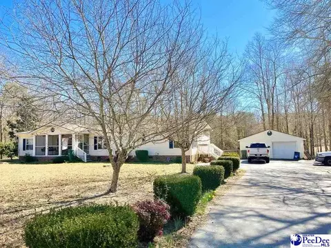 1071 Myrtle Dr, Santee, SC 29142 photo 1