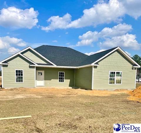 2170 E Paces Trl, Darlington, SC 29532 photo 1