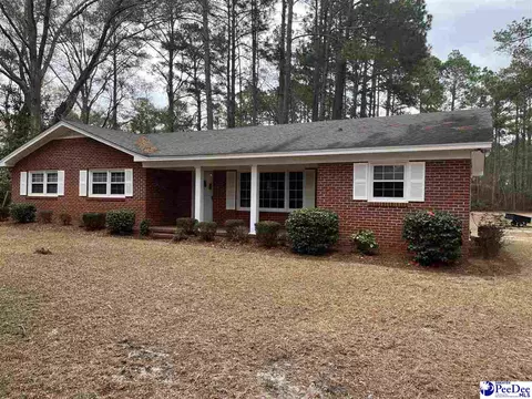 250 Mt Calvary Rd, Dillon, SC 29536 photo 1