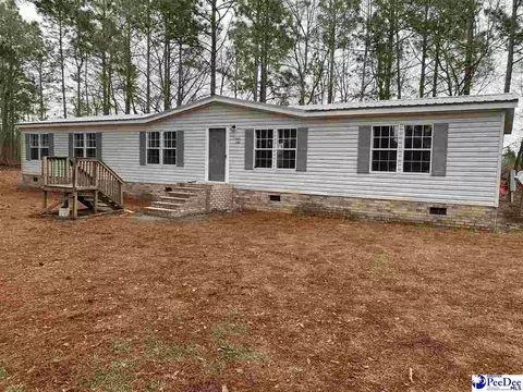 2155 Doe Trl, Dillon, SC 29536 photo 1