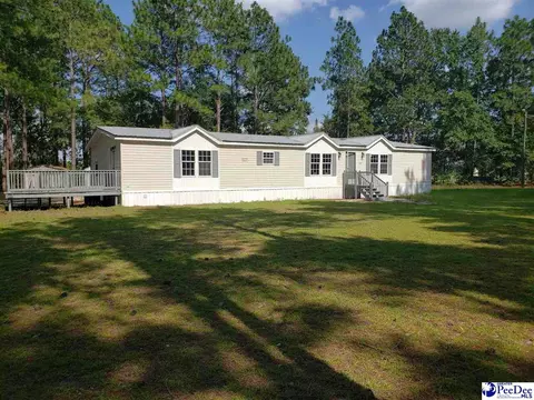 2163 Doe Trl, Dillon, SC 29536 photo 1