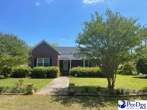 516 Third St, Cheraw, SC 29520 photo 1