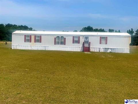 1034 Avalon Dr, Lamar, SC 29069 photo 1