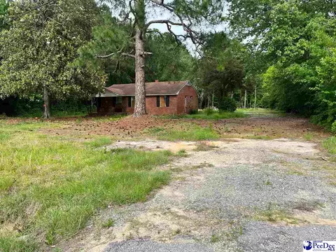 479 E Mckiver Rd, Florence, SC 29506 photo 1