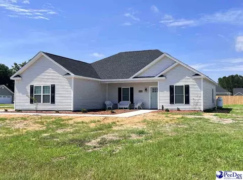 2160 E Paces Trl, Darlington, SC 29532 photo 1