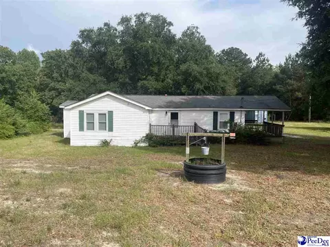 4542 Turnage Rd, Patrick, SC 29584 photo 1