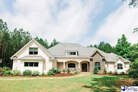 1155 Mclaughlin Rd, Effingham, SC 29541 photo 1