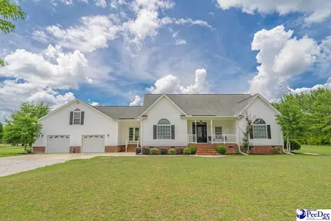 1713 Willow Point Rd, Effingham, SC 29541 photo 1