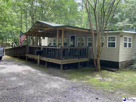 342 Horace Rd, Dillon, SC 29536 photo 1