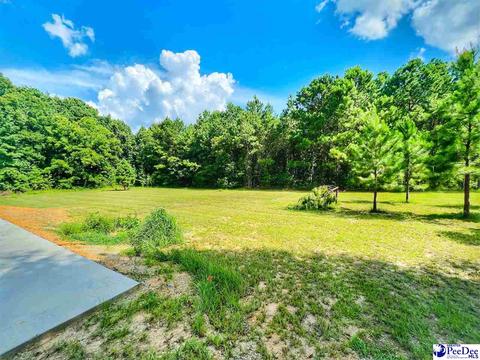 2532 Crawford Ct, Fork, SC 29543 photo 1