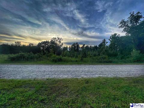 lot14 S Mclaurin Lake Cir, Dillon, SC 29536