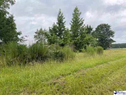 225 Windham Town Rd, Lamar, SC 29069 photo 1