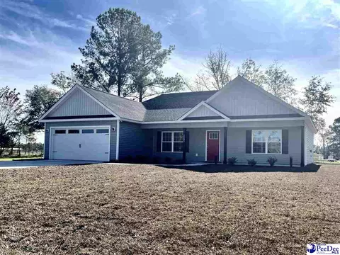 3285 B S Rd, Loris, SC 29569 photo 1