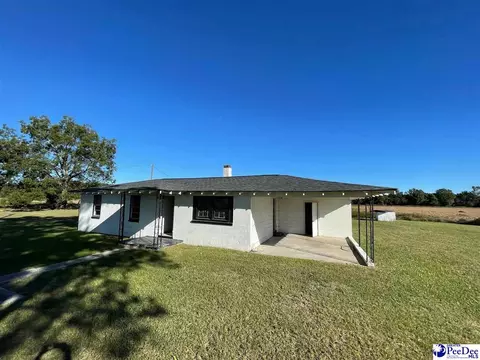 1241 Salem Rd, Coward, SC 29530 photo 1