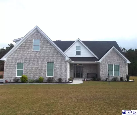 3112 Brookstone Dr, Effingham, SC 29541 photo 1