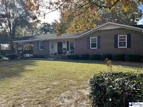 1504 E Roosevelt St, Dillon, SC 29536 photo 1