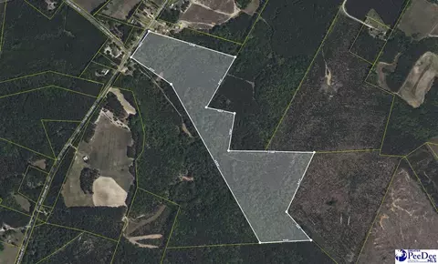 2375 Union School Rd, Mcbee, SC 29101 photo 1