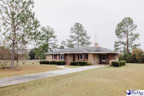 2009 Tomahawk Rd, Lamar, SC 29069 photo 1