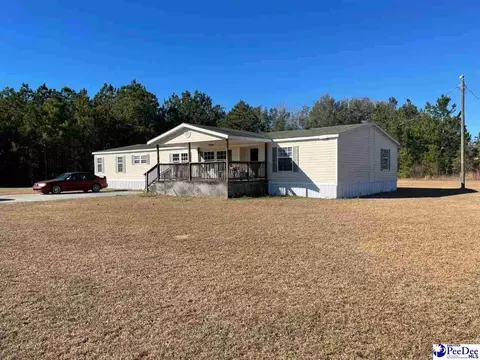 1503 Preston Dr, Dillon, SC 29536 photo 1