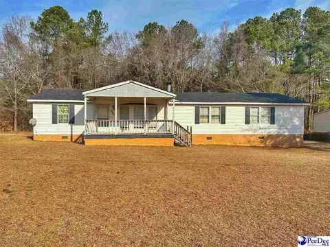 1808 River Bend Pl, Dillon, SC 29536 photo 1
