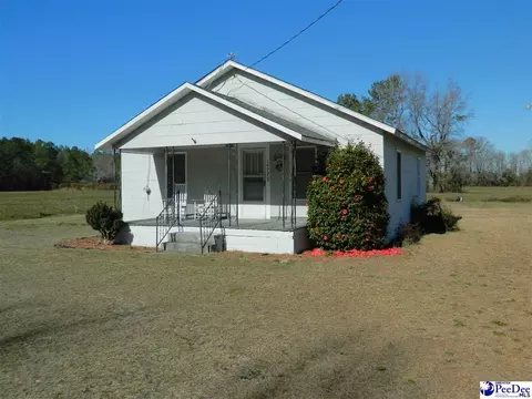 1472 Bay Branch Rd, Lamar, SC 29069 photo 1