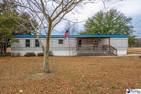 259 Mount Calvary Rd, Dillon, SC 29536 photo 1